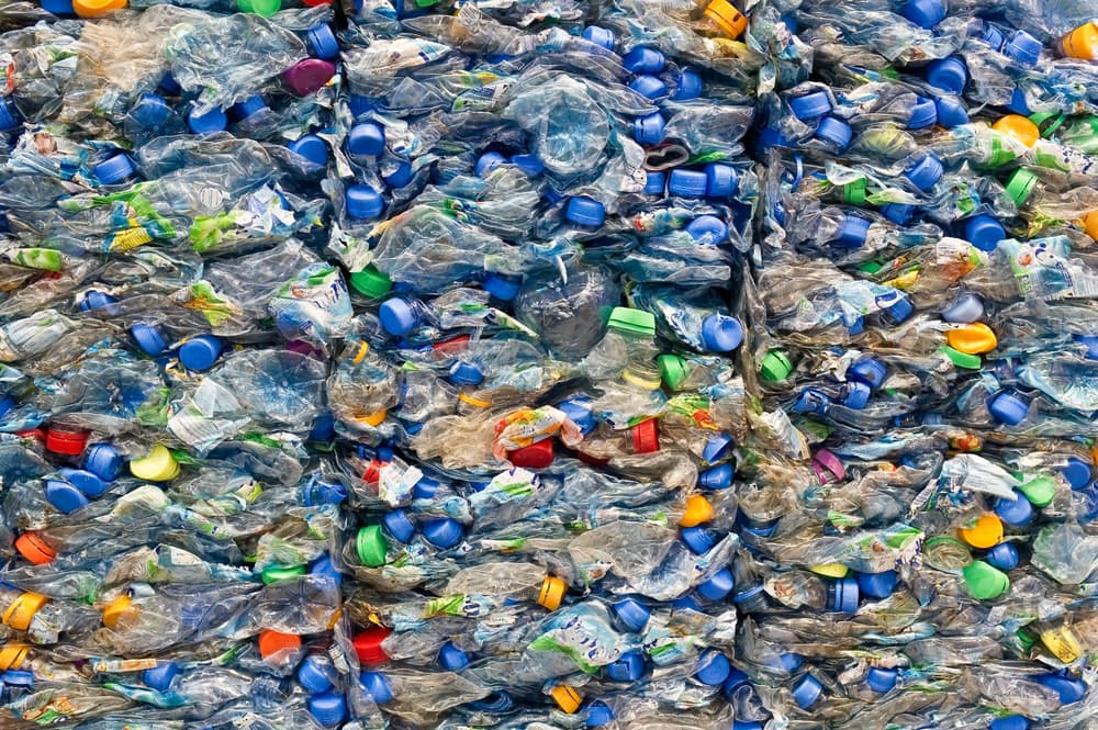 How Plastic Water Bottle Waste Affects The Environment